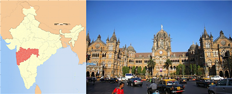 Booming Products, Rising Brand, Gonsin In India Booming Products, Rising Brand, Gonsin In India