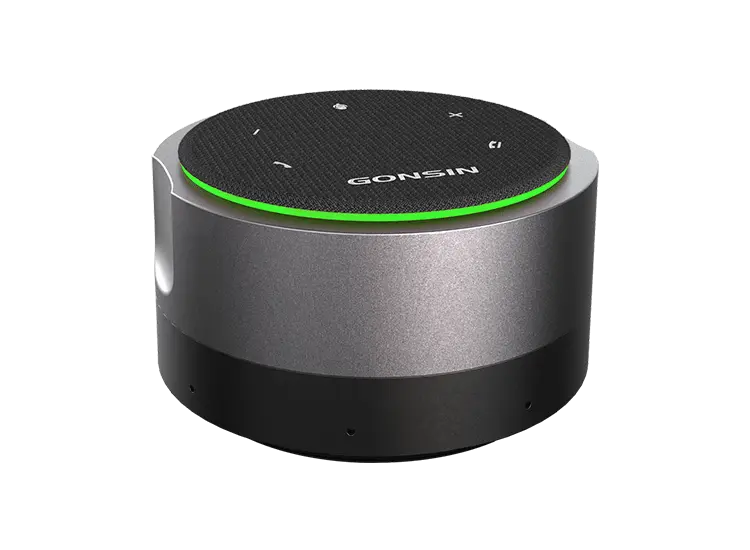 background noise cancelling microphone