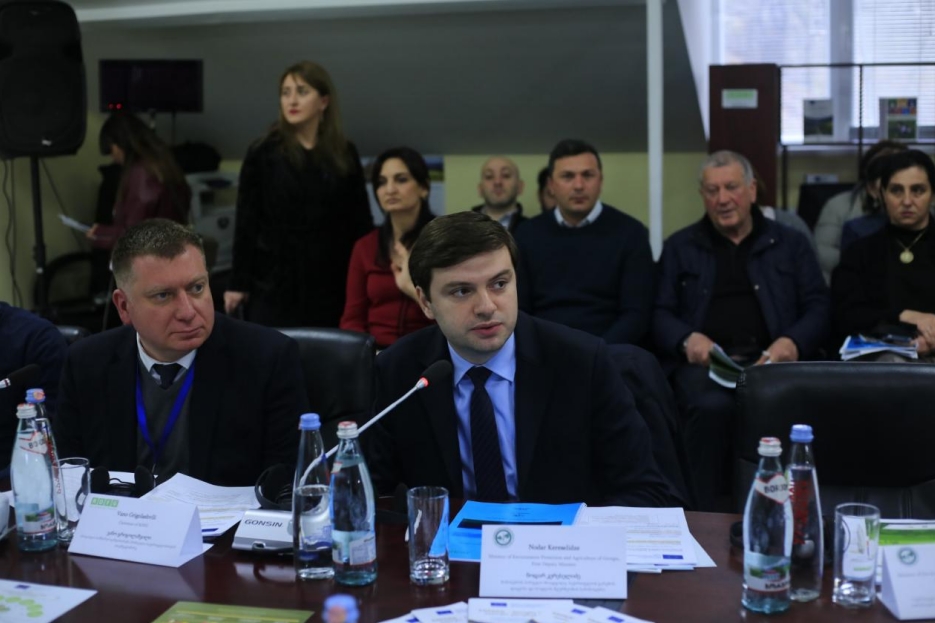 GONSIN_Enhanced_International_Cooperation_Conferences_Across_Different_Fields_in_Georgia_10.png